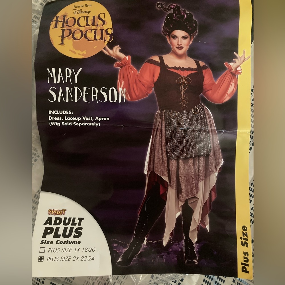 Disney Hocus Pocus Mary Sanderson Costume